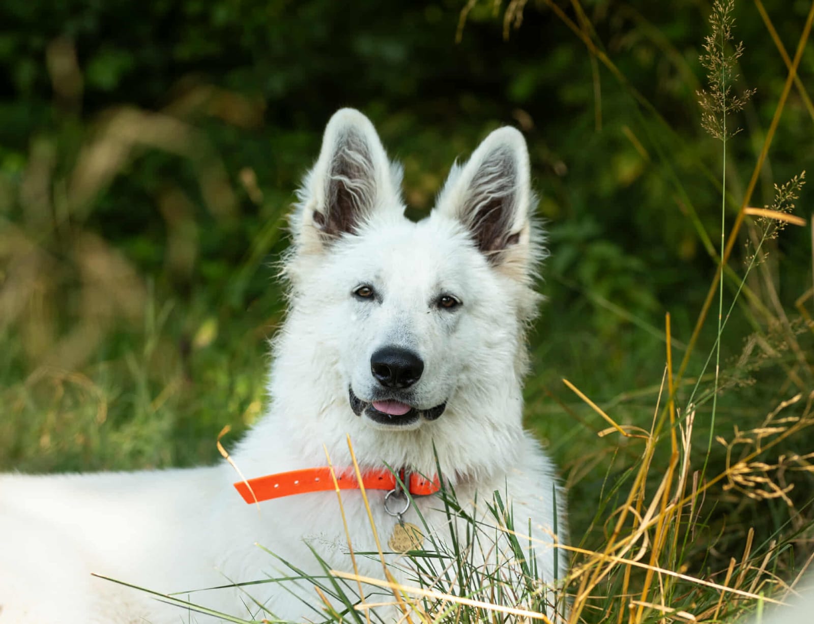 WhatsApp Image 2026-02-20 at 09.43.36trujr.jpeg